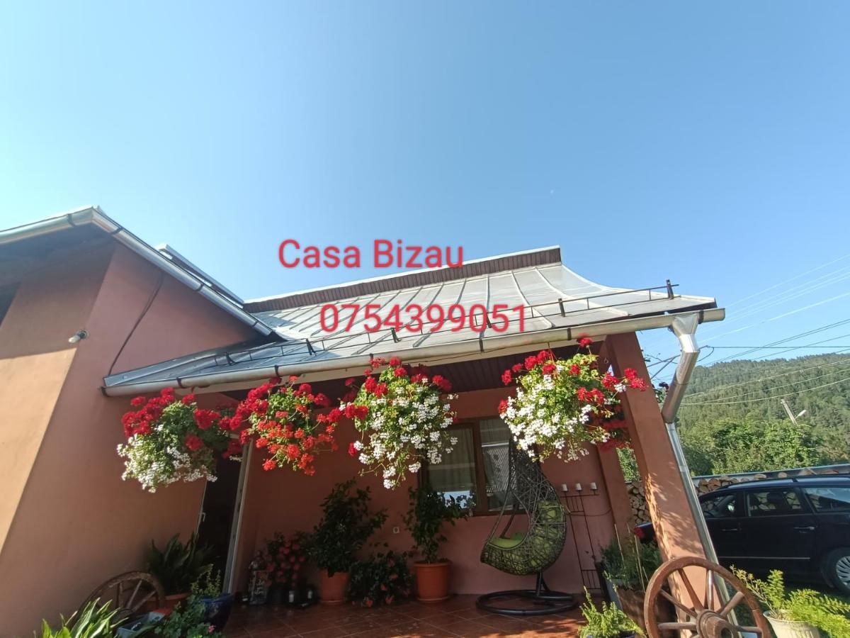 Casa Bizau Hotel Viseu de Mijloc Esterno foto